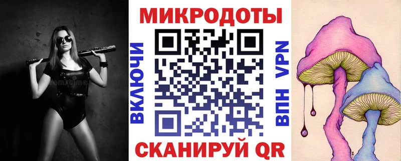 Галлюциногенные грибы Psilocybine cubensis  как найти наркотики  Новая Ладога 
