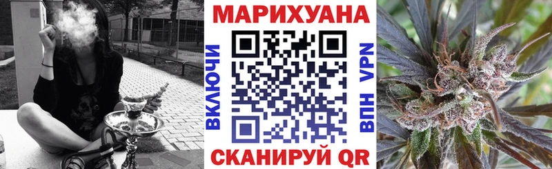 Шишки марихуана сатива  Новая Ладога 